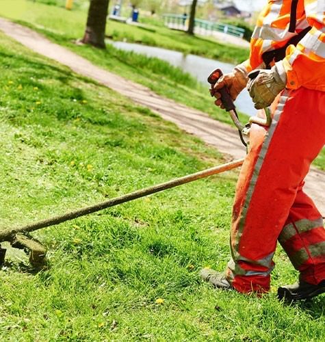 Стрижка газона в Кирове (Кировская область)