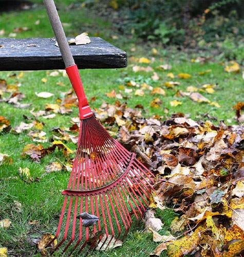 Уборка территории для организаций в Кирове (Кировская область)